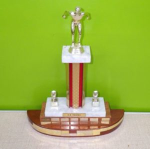 Potters Bar,Scout District,Swimming Gala,Trophy,Scouts,Cuffley,Scout,Swimming,teamwork,winners,Scout troop, 